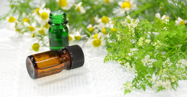 New ONE-A-MONTH ESSENTIAL OIL CLUB Now Available!