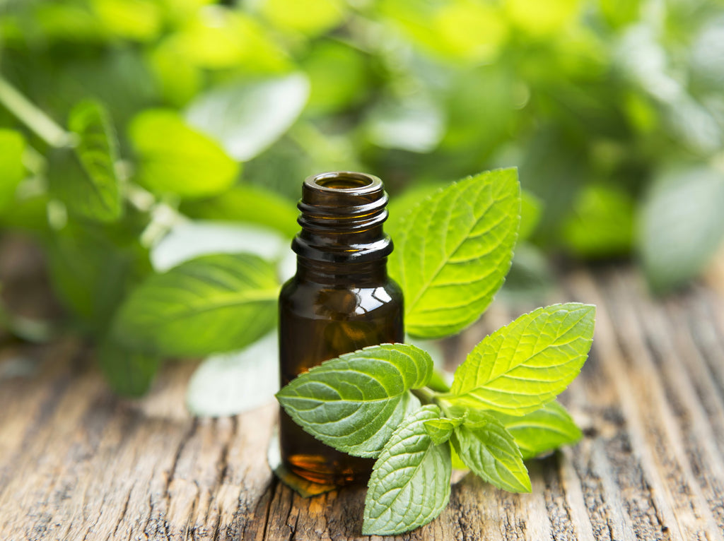 Peppermint Body Oil