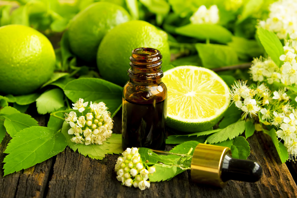 LIME Essential Oil