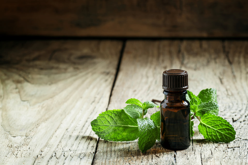 Peppermint Body Oil