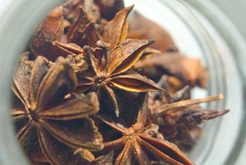 Zen STAR ANISE