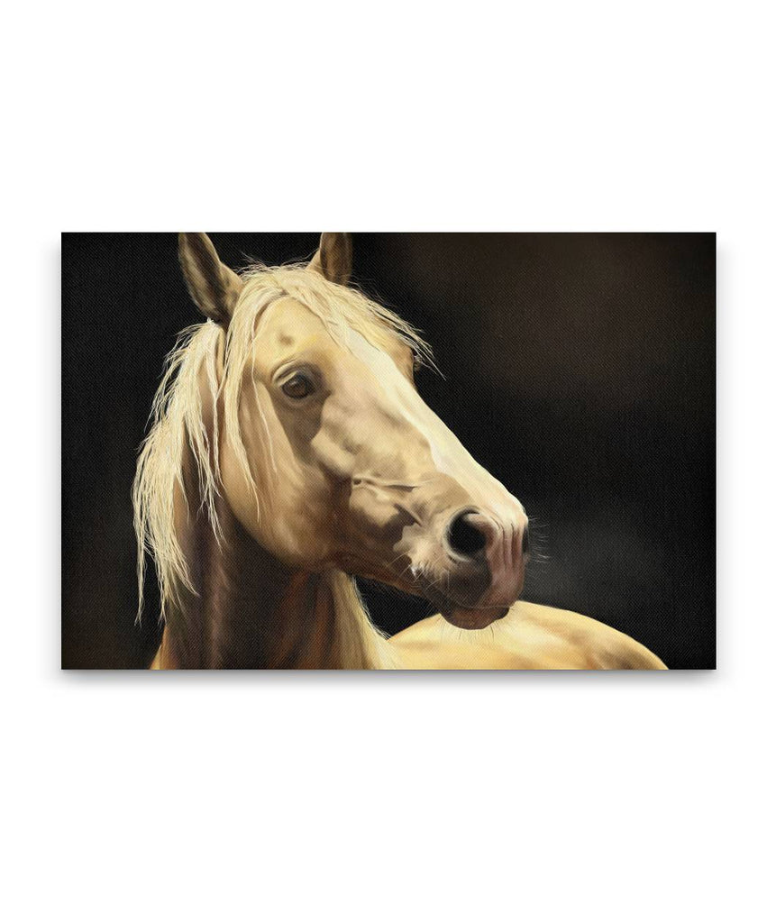 Beautiful Horse on Canvas with Black Background